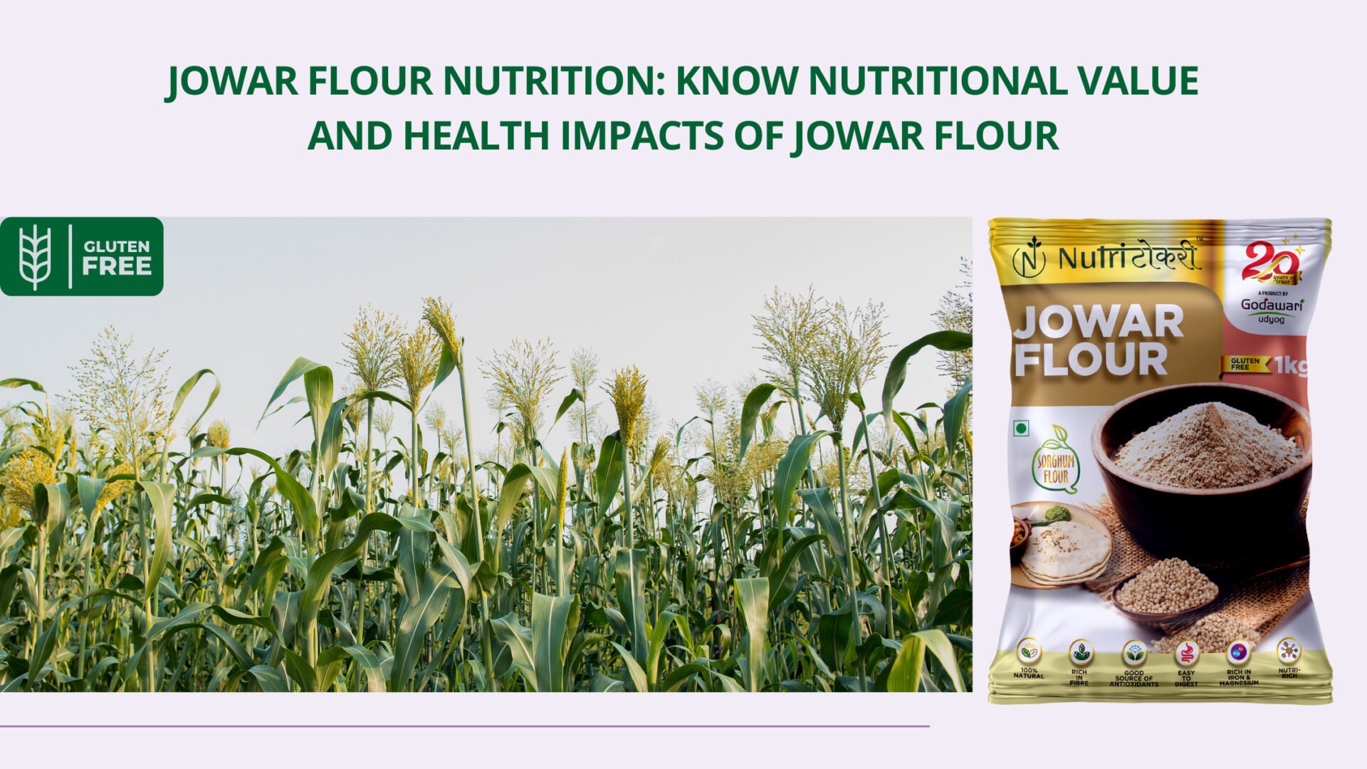 nutritional value of Jowar flour